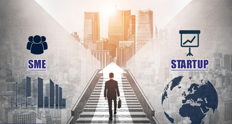 Phân biệt Startup và SME: Hai con đường khác biệt trên hành trình kinh doanh