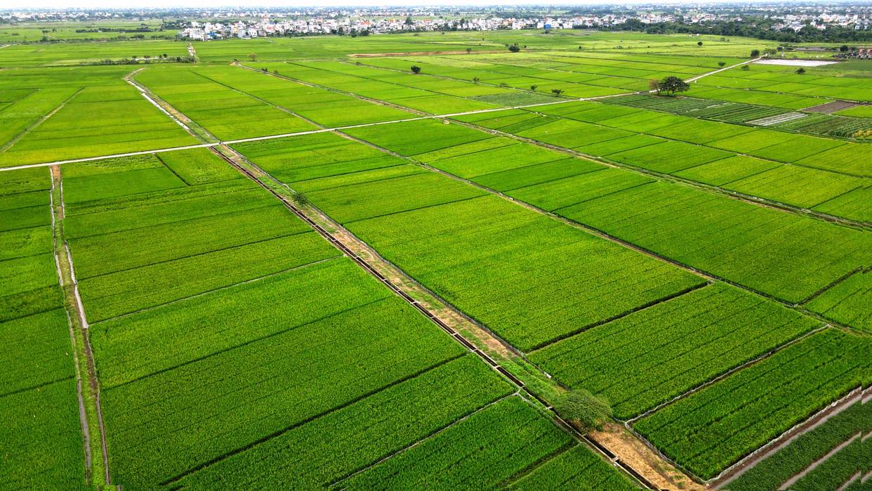 Quảng Cáo Phát Thanh Nông Thôn: "Vũ Khí Vàng" Giúp Ngành Phân Bón, Nông Nghiệp Phủ Sóng Mọi Cánh Đồng