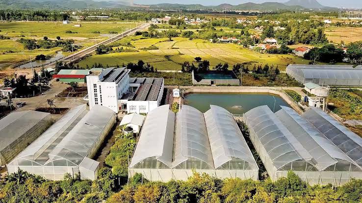 Định vị Doanh nghiệp Nông nghiệp Công nghệ cao thềm M&A: Biến chứng chỉ xanh và câu chuyện bền vững thành định giá triệu USD