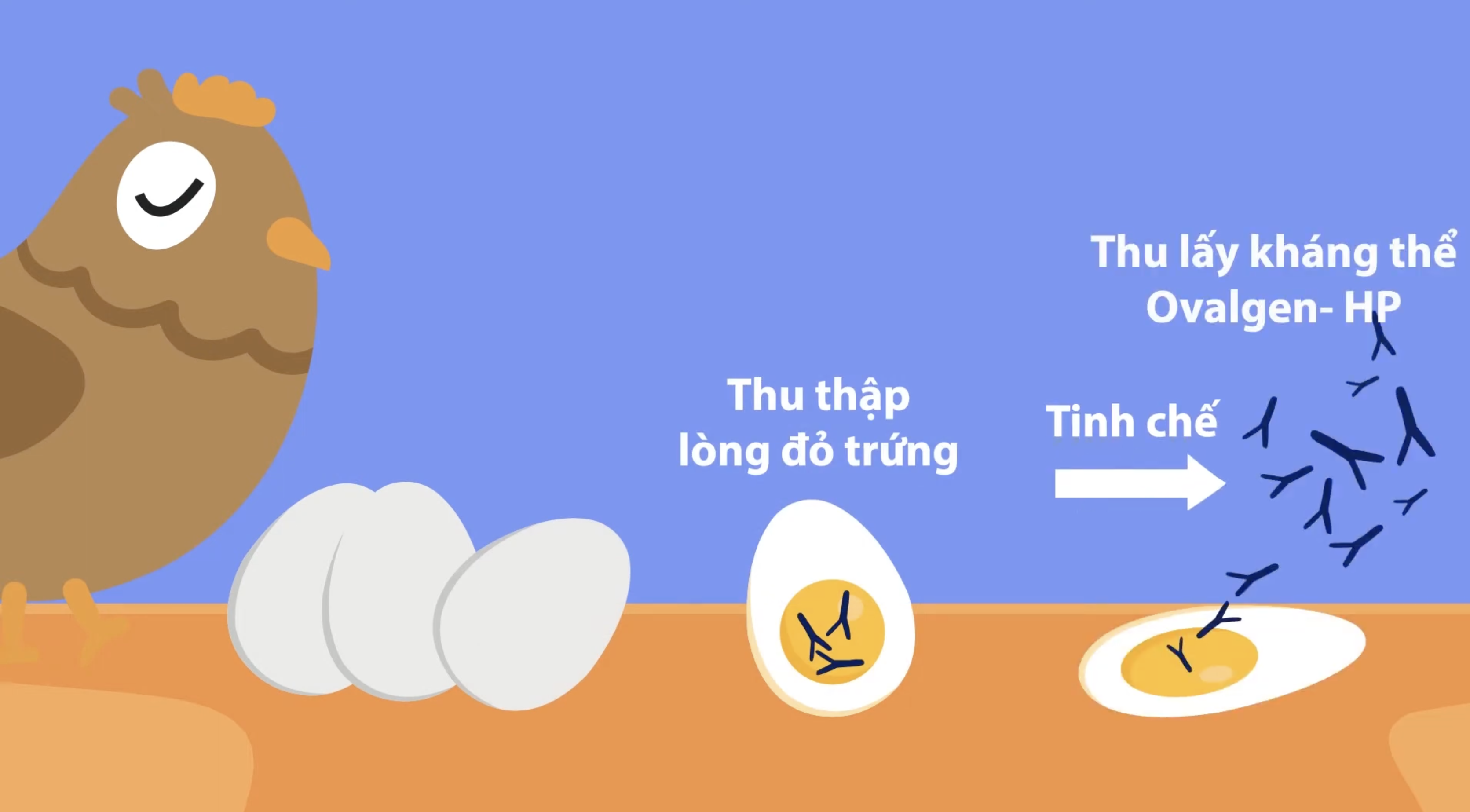 Phim quảng cáo tự giới thiệu sản phẩm - Quy trình tạo ra sản phẩm Gastimun HP
